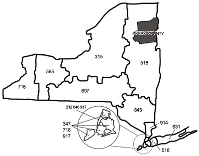 New York State Area Codes